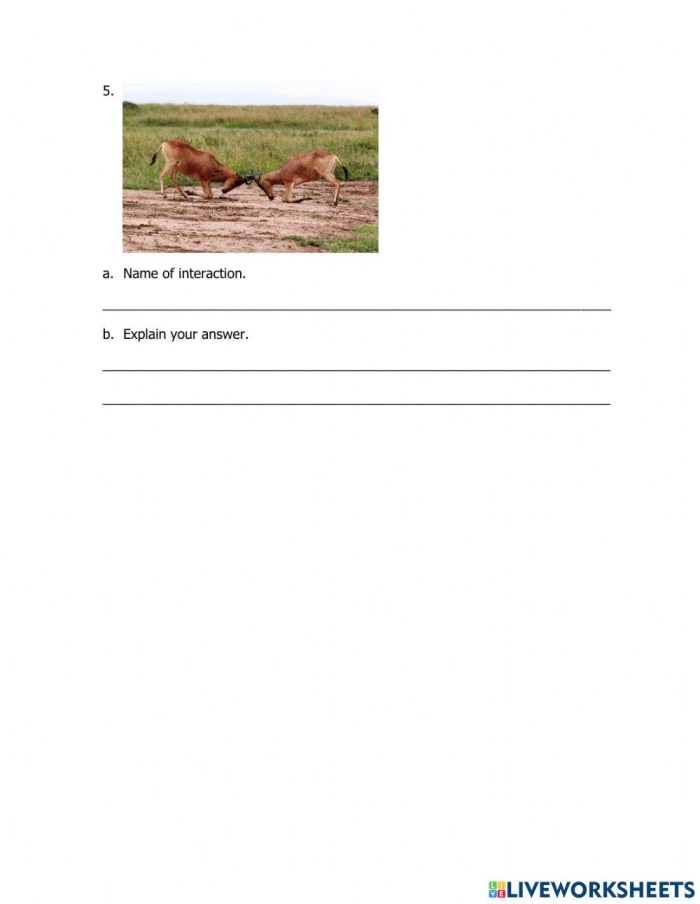 Sixth grade science worksheet focused on defining how various organisms interact within their specific ecosystems