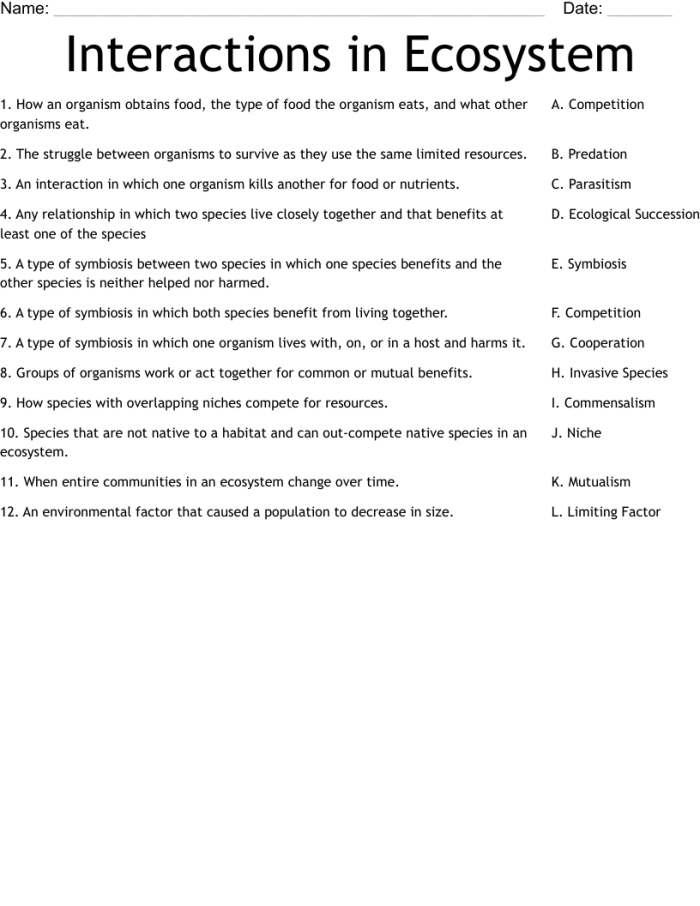 Worksheet illustrating various organism interactions in ecosystems for young learners