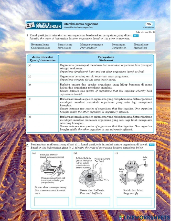 Worksheet illustrating organism interactions in ecosystems for sixth graders