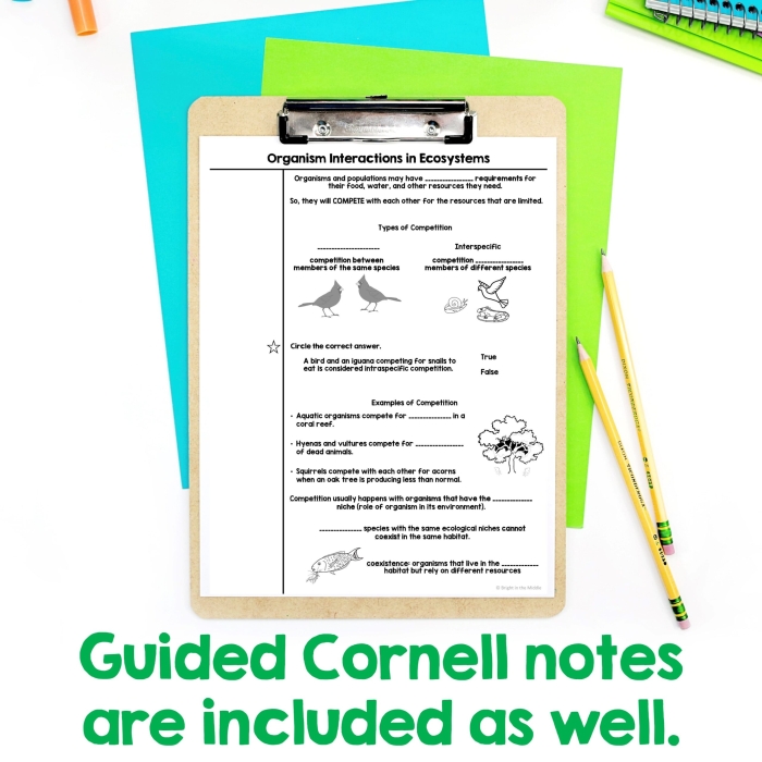Sixth grade life science worksheet about organism interactions within ecosystems
