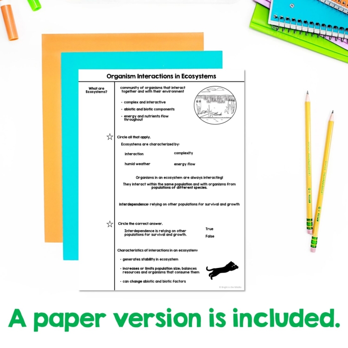Sixth grade life science worksheet about organism interactions in ecosystems
