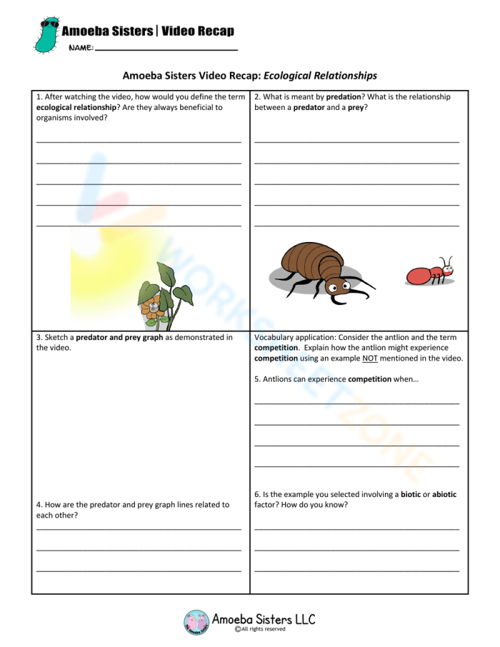 Sixth grade life science worksheet focused on exploring how various organisms interact within their ecosystems