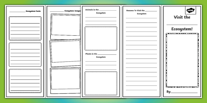 Sixth grade student using a worksheet to research and model a specific ecosystem for a life science project