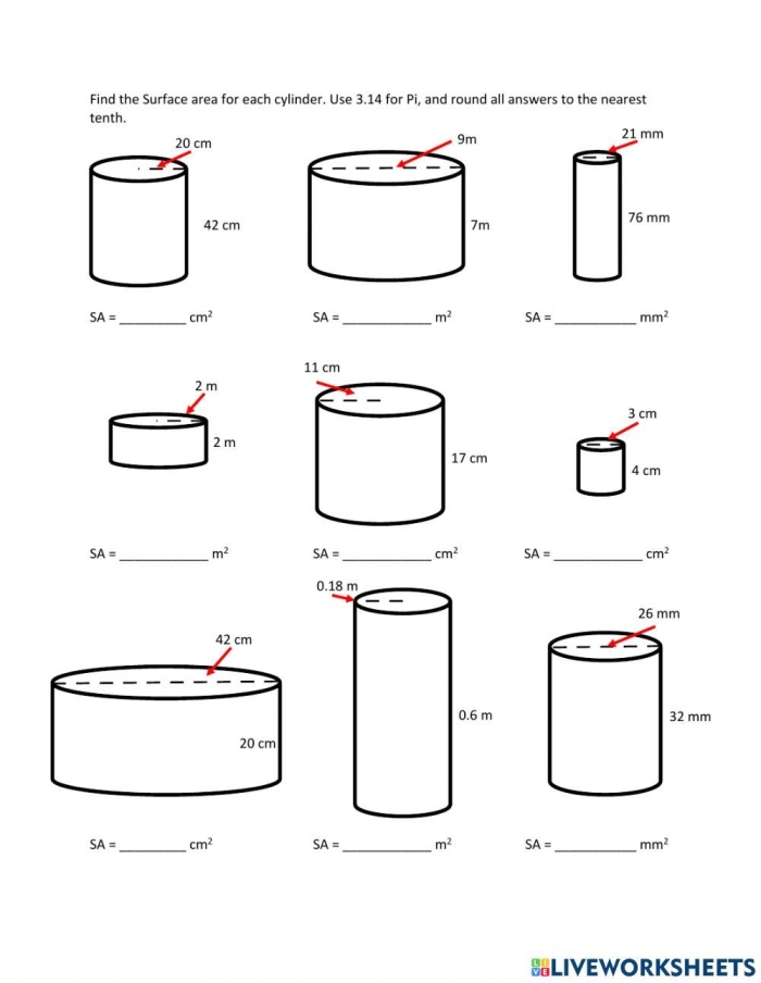 Finding the Volume of Cylinders Practice Worksheet 18 Eighth grade geometry worksheet showing cylinder volume practice problems with various cylinder dimensions