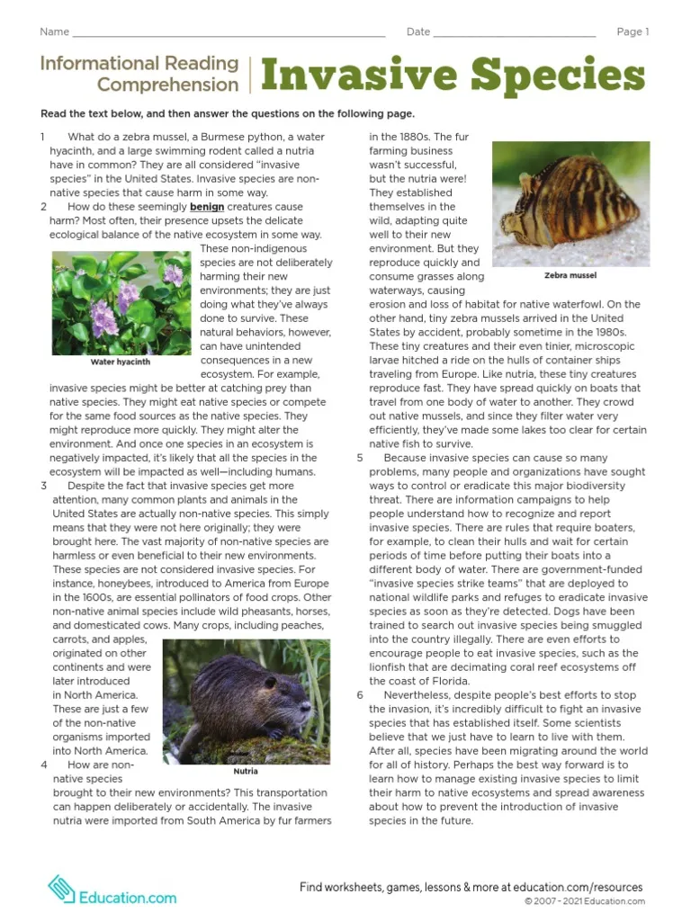 Eighth grade informational reading comprehension worksheet focusing on the impact of invasive species on native ecosystems.