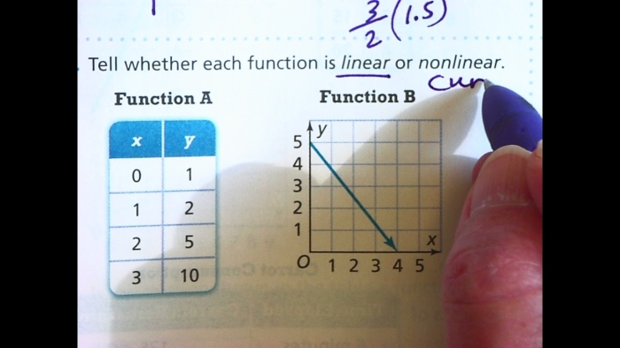 Eighth Grade Linear and Nonlinear Functions Handout Worksheet Reference Worksheet displaying examples of linear and nonlinear functions for eighth-grade students