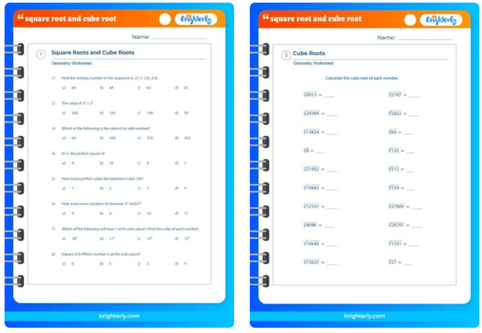 Square Root and Cube Root Practice Worksheet Number Nine Eighth grade math worksheet focusing on solving square root and cube root practice problems