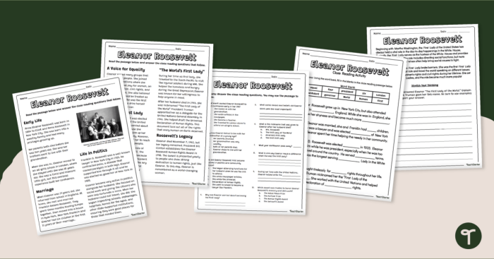Eleanor Roosevelt worksheet for fourth graders focusing on her contributions and legacy