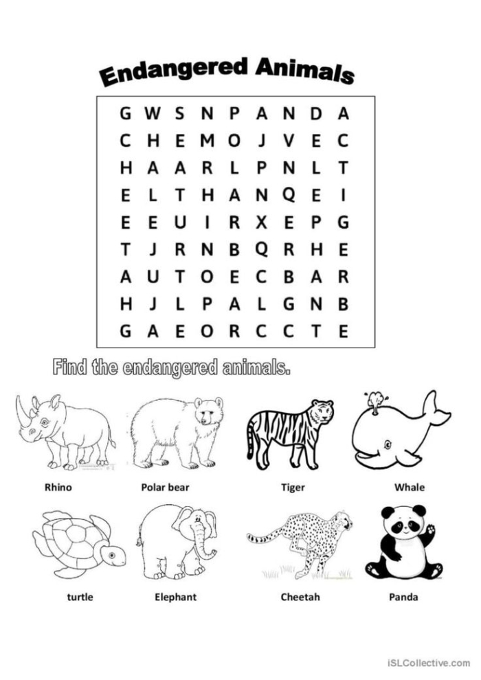 Third grade student working on an Endangered Species word search worksheet about animal conservation