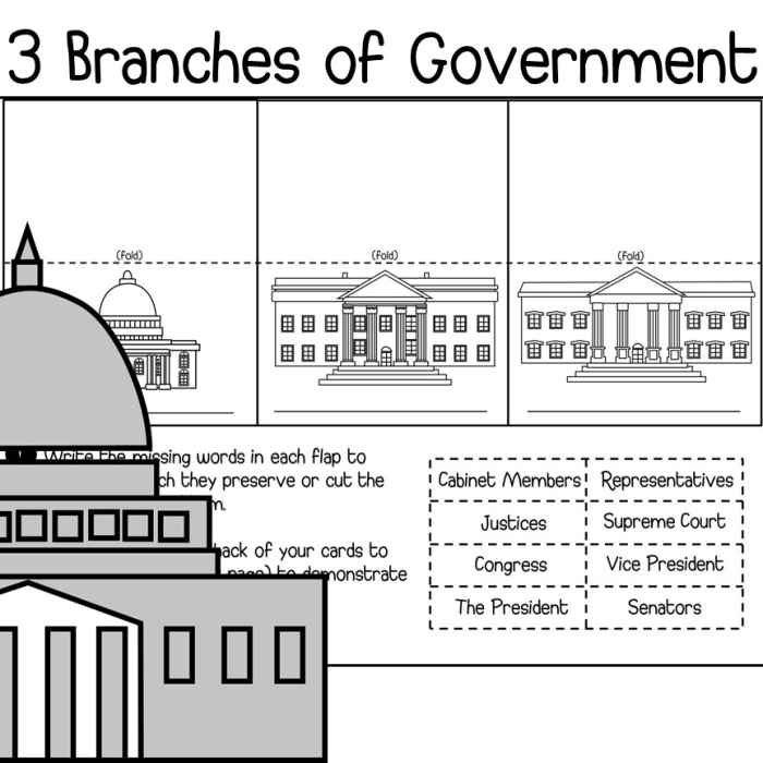Fourth grade worksheet diagram showing the three branches of U.S. government with blank spaces for students to fill in the legislative, executive, and judicial branches and their components
