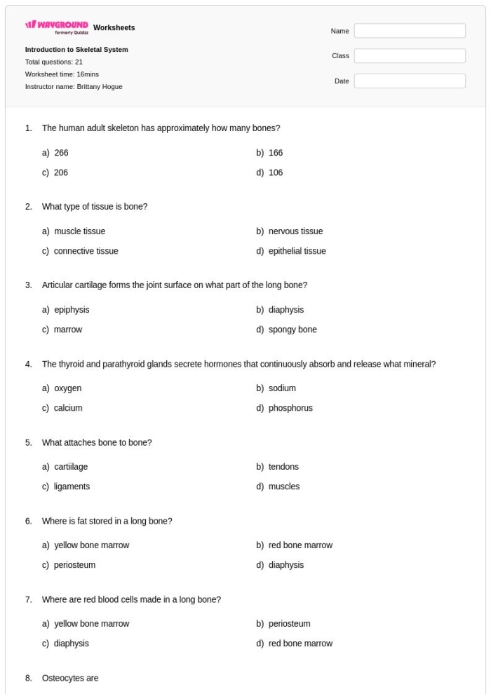Fifth grade Spanish students learning skeletal system bones with a quiz worksheet featuring the hip bone song connection activity