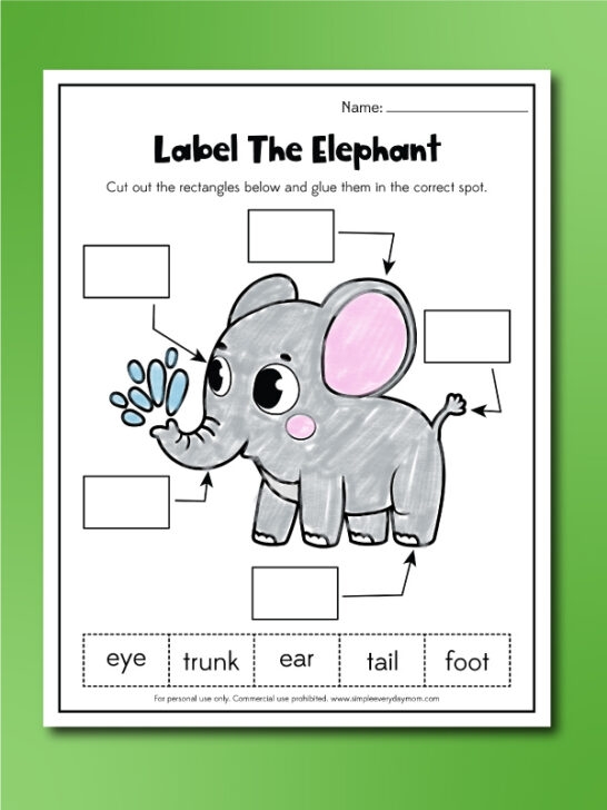 Worksheet for "The Elephant's Child" aiding third graders in reading comprehension
