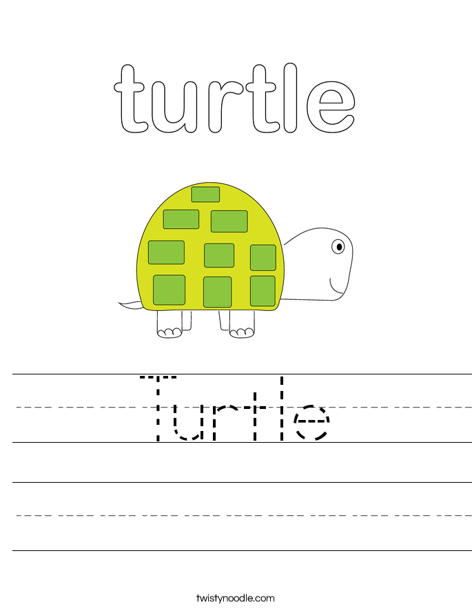 Second grade reading worksheet about Emily and her turtle to practice identifying central messages