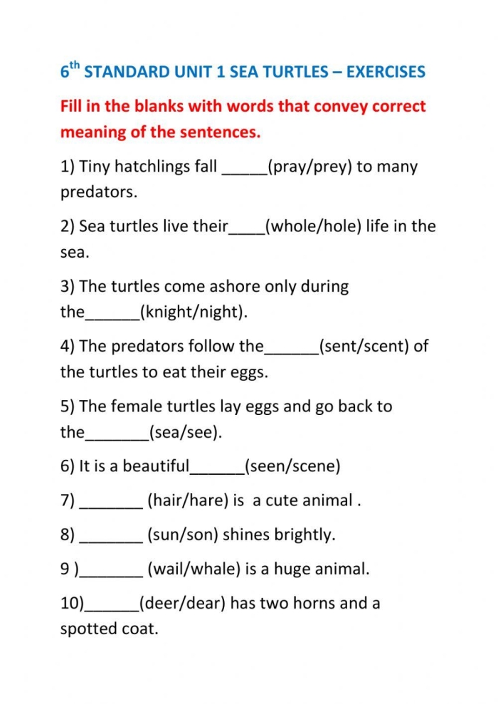 Second grade measurement worksheet featuring Emily's Turtle story with text comprehension questions about determining central message