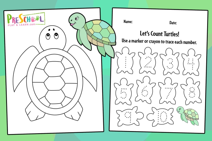 Second grade measurement worksheet featuring Emily's Turtle story with text comprehension questions about author's word choices and central message