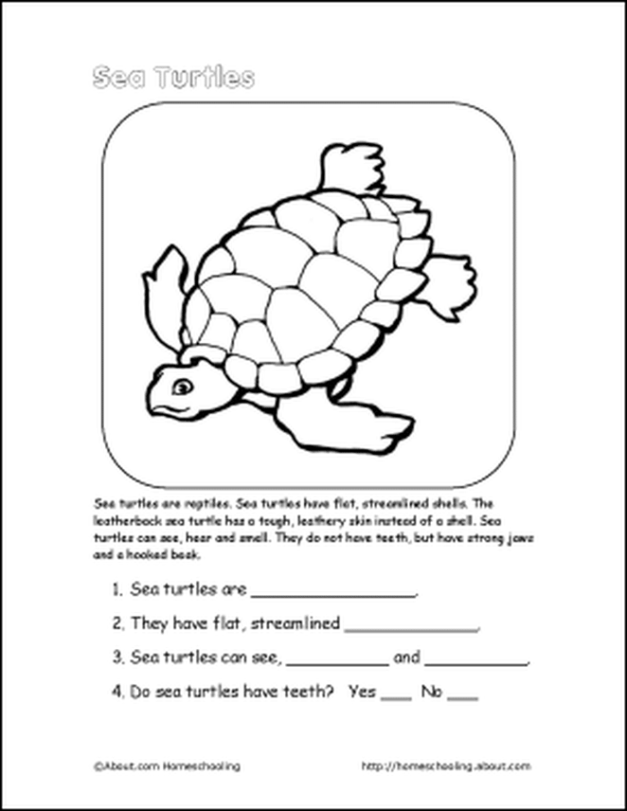 Second grade measurement worksheet featuring a story about Emily and her turtle for reading comprehension practice