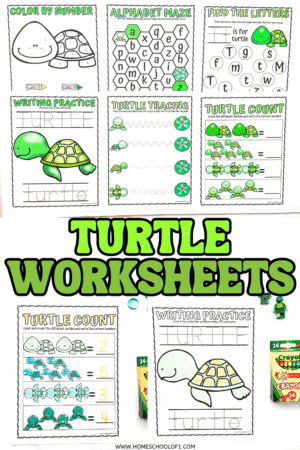 A second grade student worksheet featuring Emily's Turtle story for learning about measurement and author's word choices to determine central message