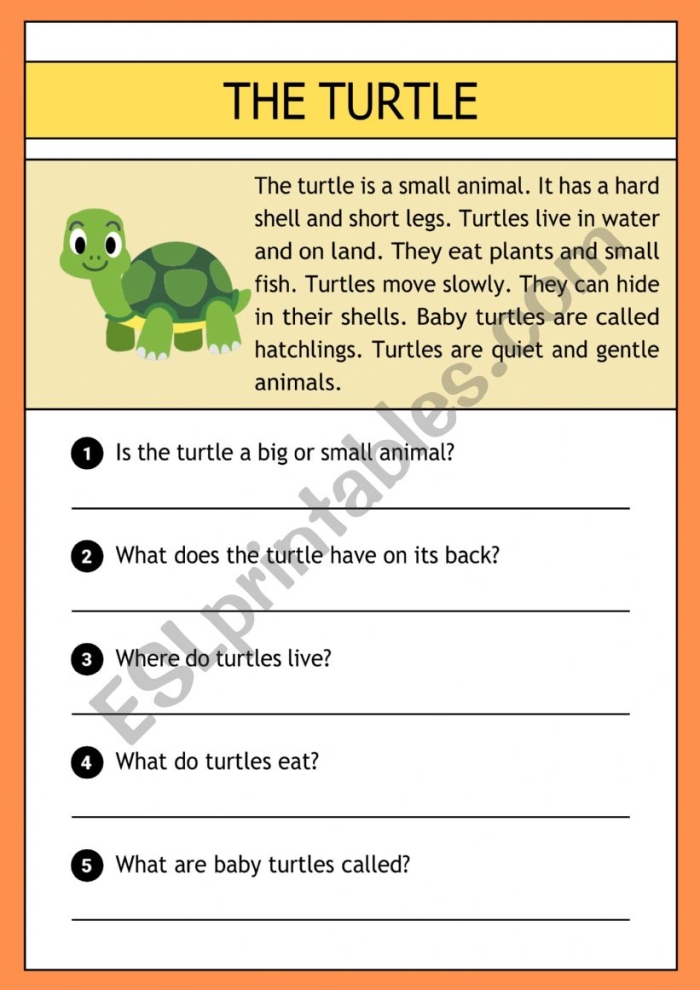 Second grade measurement worksheet showing Emily's Turtle story text with comprehension questions about author's word choices and central message