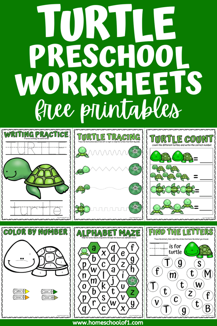 Second grade measurement worksheet featuring Emily's Turtle story with text comprehension questions about author's word choices and central message