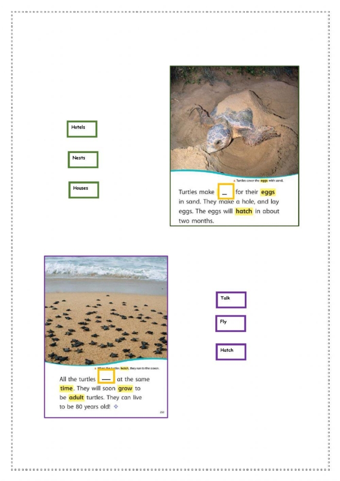 A second grade worksheet titled Emily's Turtle focusing on measurement and reading comprehension