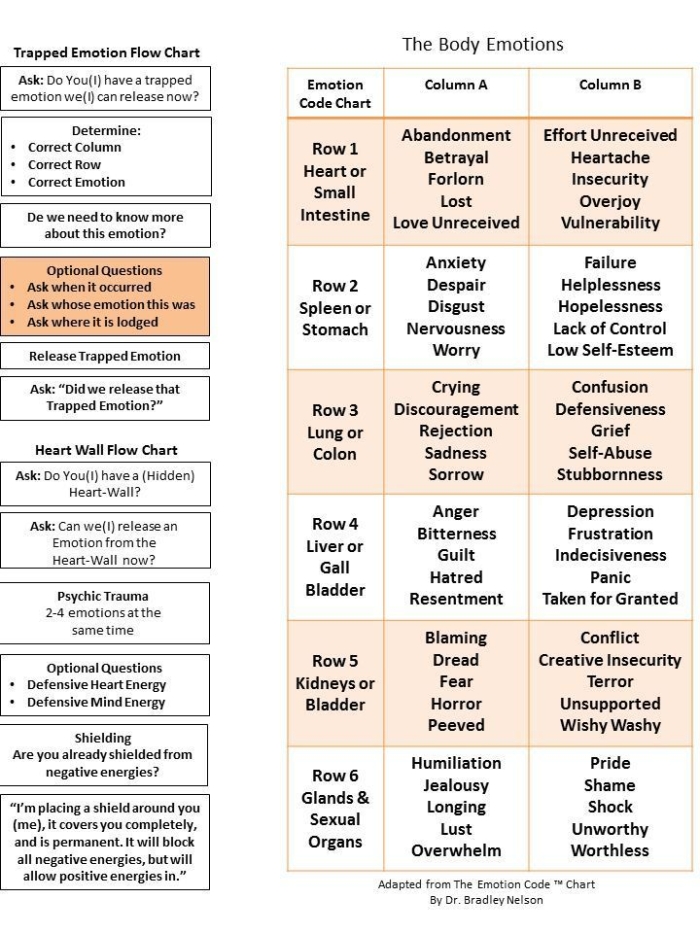 Emotions Body Map Activity for Young Learners to Identify Physical Sensations A second grade student's emotions body map worksheet showing a simple human figure outline with different colored sections indicating where feelings are experienced in the body