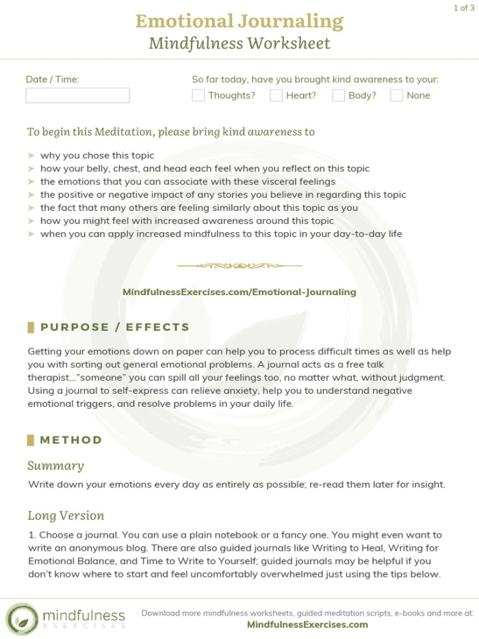Cover design for an emotions journal worksheet aimed at early childhood social emotional learning Emotions Journal worksheet for Pre-K students featuring a creative cover design and drawing prompt
