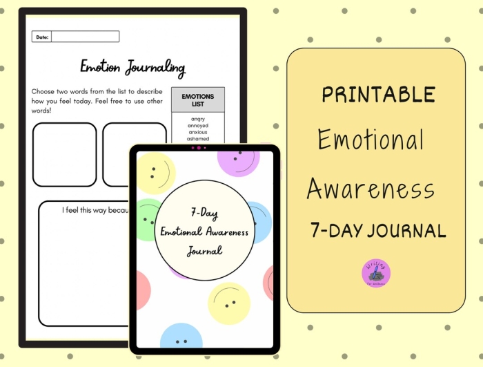 Creative cover design for an emotions journal aimed at social emotional learning in early education Emotions Journal worksheet for Pre-K students featuring a drawing prompt and cover design instructions