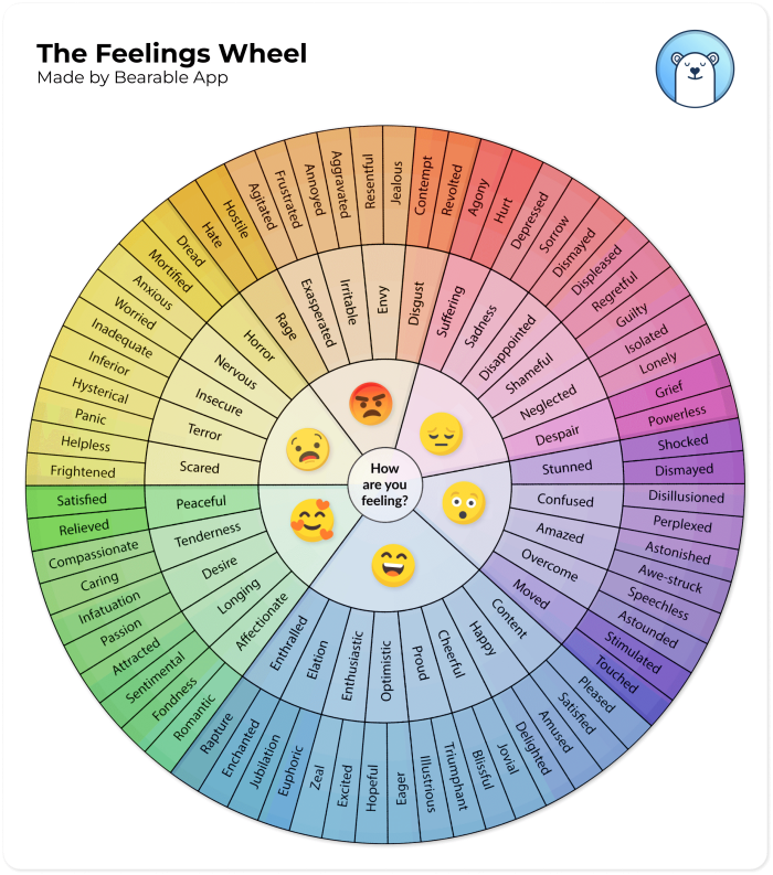 Second grade student's emotions wheel worksheet showing colorful feelings sections with space for drawings and reflections about different emotions
