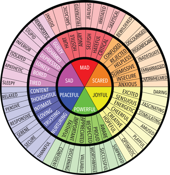 A colorful emotions wheel worksheet for second graders showing different feelings with blank spaces for drawings and reflections