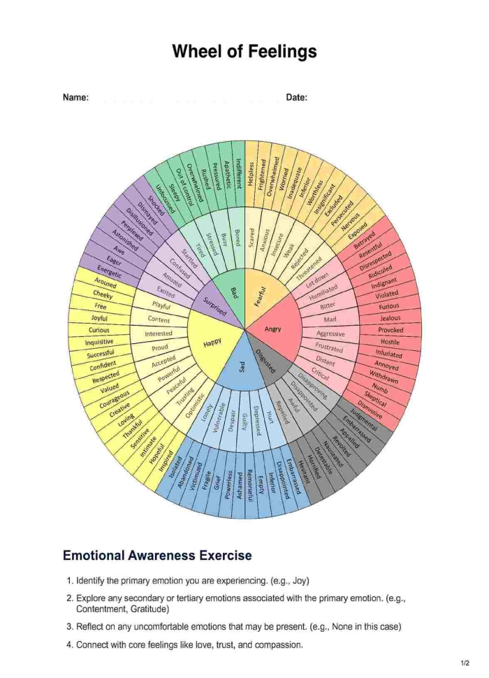 Second grade student worksheet featuring a colorful emotions wheel to illustrate personal feelings