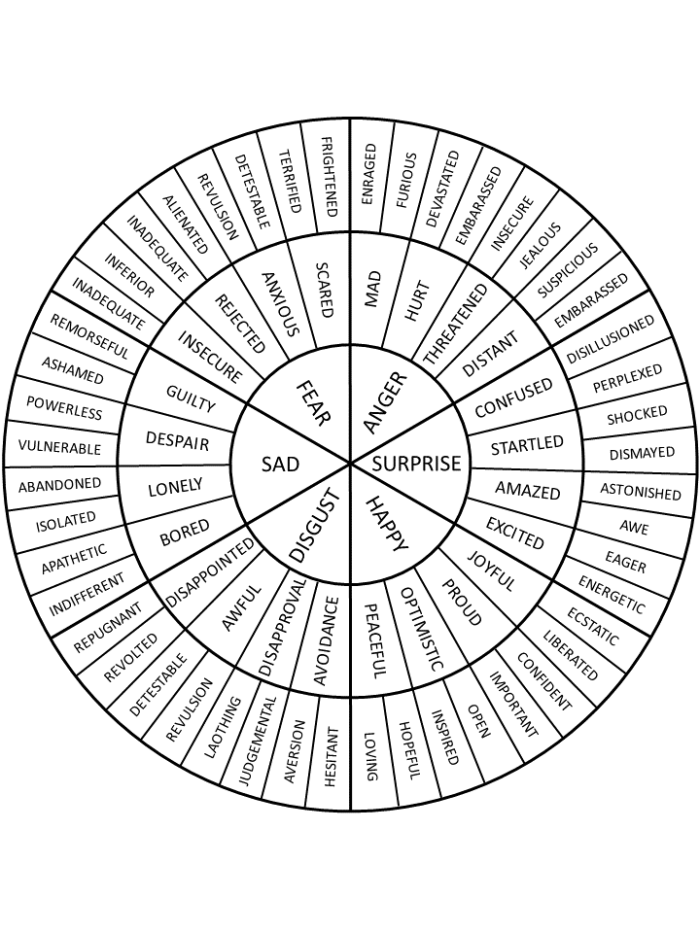 A colorful emotions wheel worksheet showing different feelings arranged in a circle with blank spaces for second grade students to draw pictures of times they felt each emotion