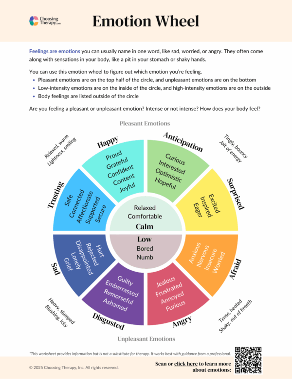Second grade student's emotions wheel worksheet showing colorful segments with different feelings and space for drawing illustrations of emotional experiences