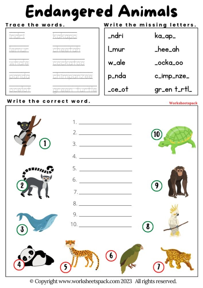 Third grade printable animal word search worksheet featuring endangered species vocabulary