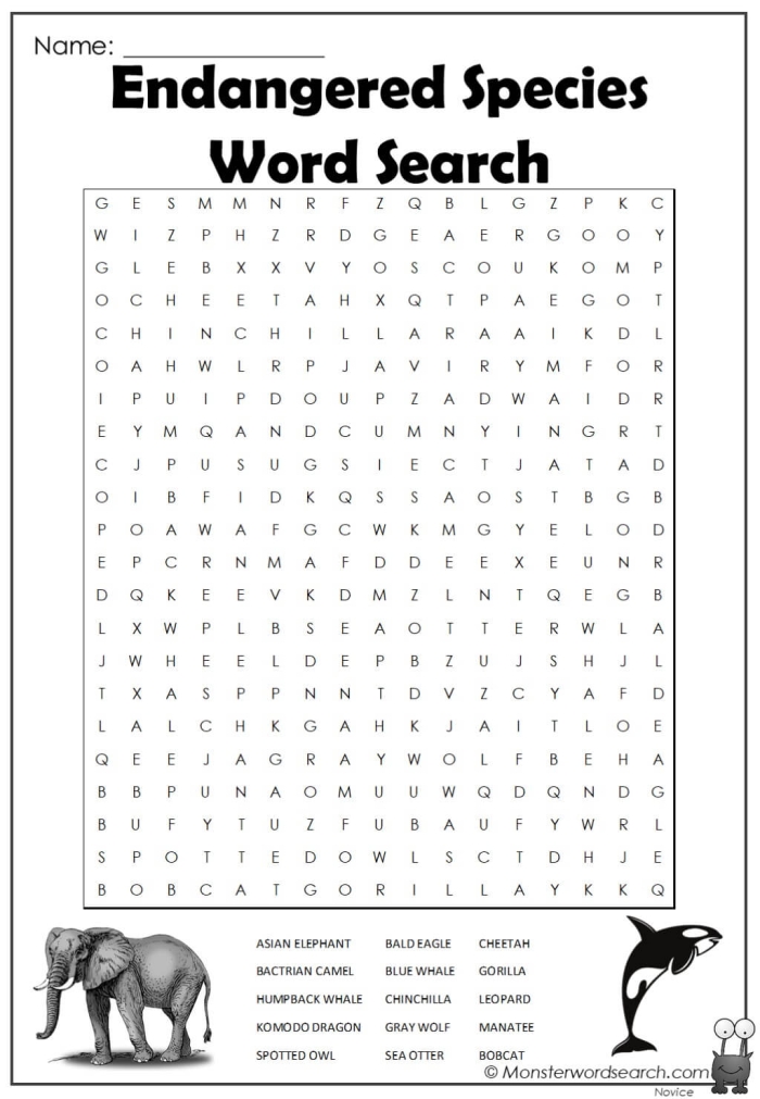 Third grade animal word search worksheet featuring endangered species vocabulary