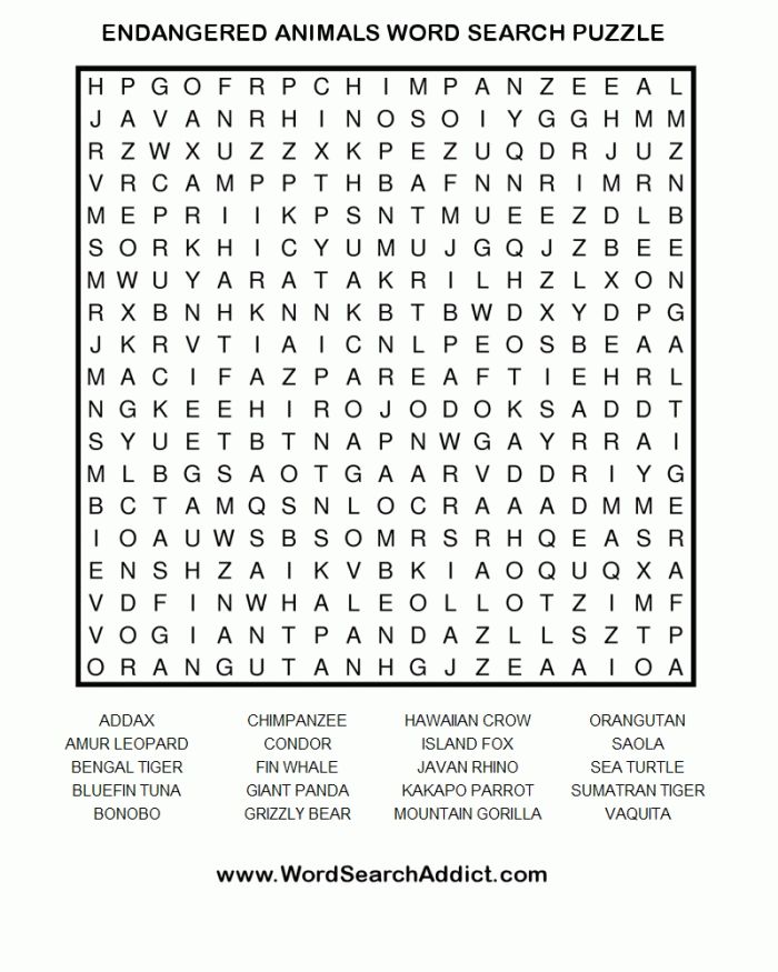 Third grade students completing an endangered species word search activity with animal names hidden in a grid