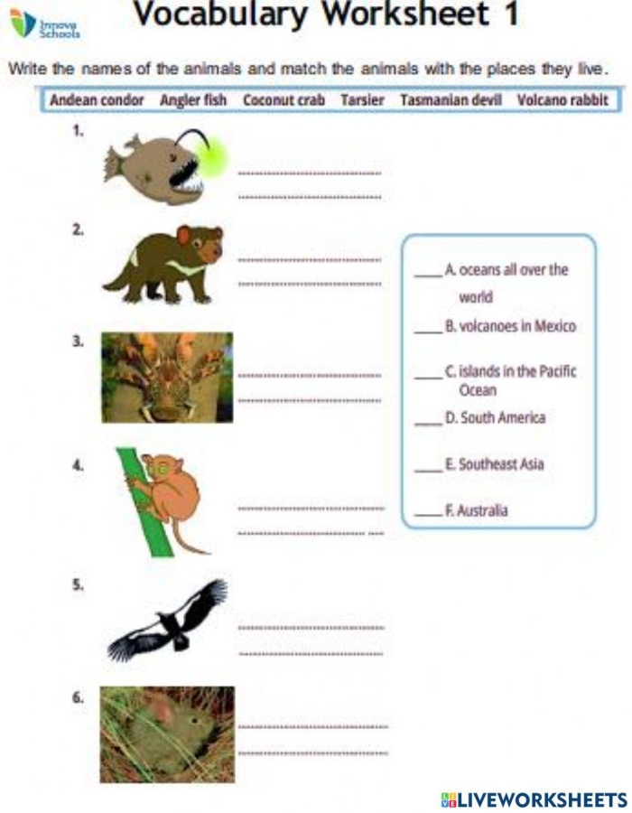 Third grade students completing an endangered species word search puzzle activity
