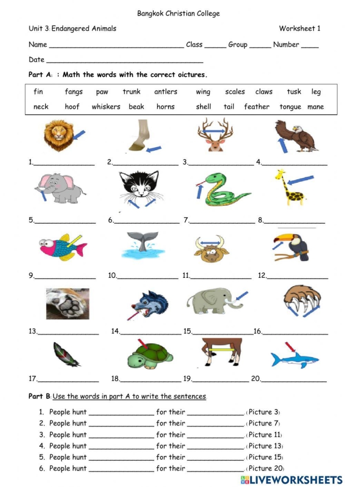 Animal Word Search: Endangered Species worksheet for third grade students