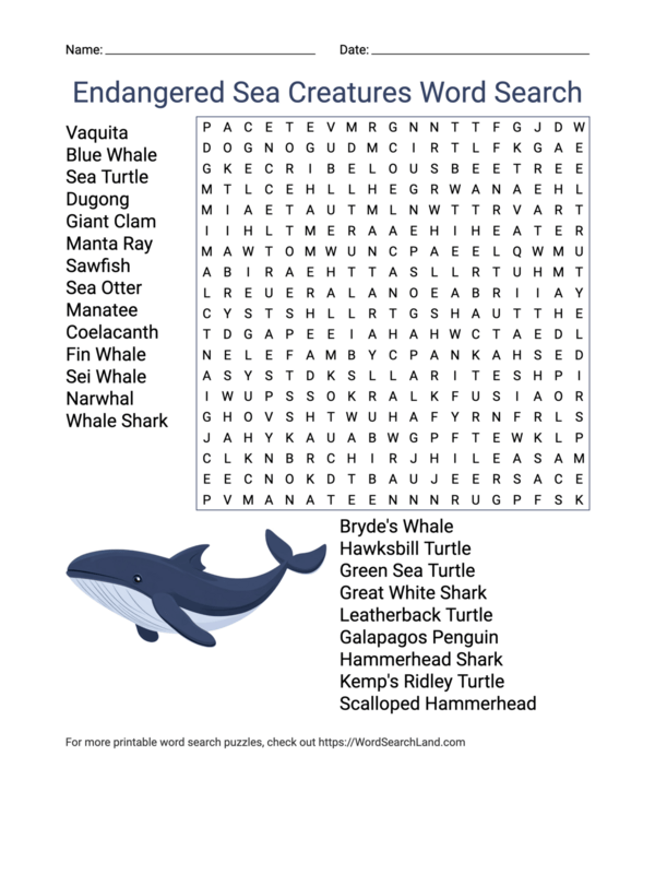 Third grade students solving an animal word search puzzle about endangered species with hidden animal names to find