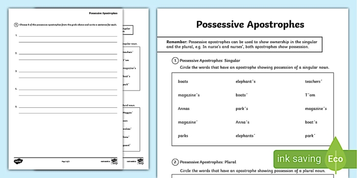 Handwriting worksheet for Second Grade Colorful worksheet featuring Punctuation Pig to teach possessive apostrophes. Engaging Possessive Apostrophes with Punctuation Pig Worksheet for Second Graders.