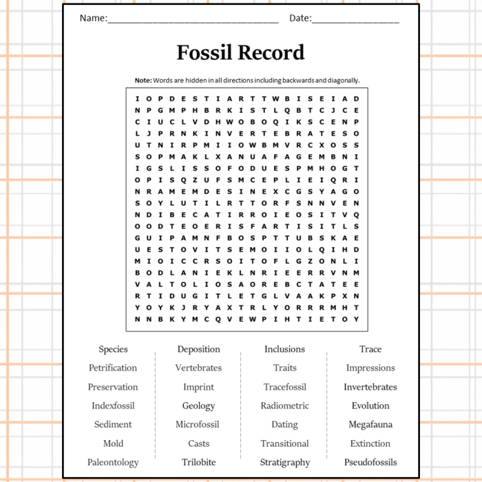 Engaging worksheet for studying how fossils reveal organism evolution Fifth-grade science worksheet focused on evolution and the fossil record