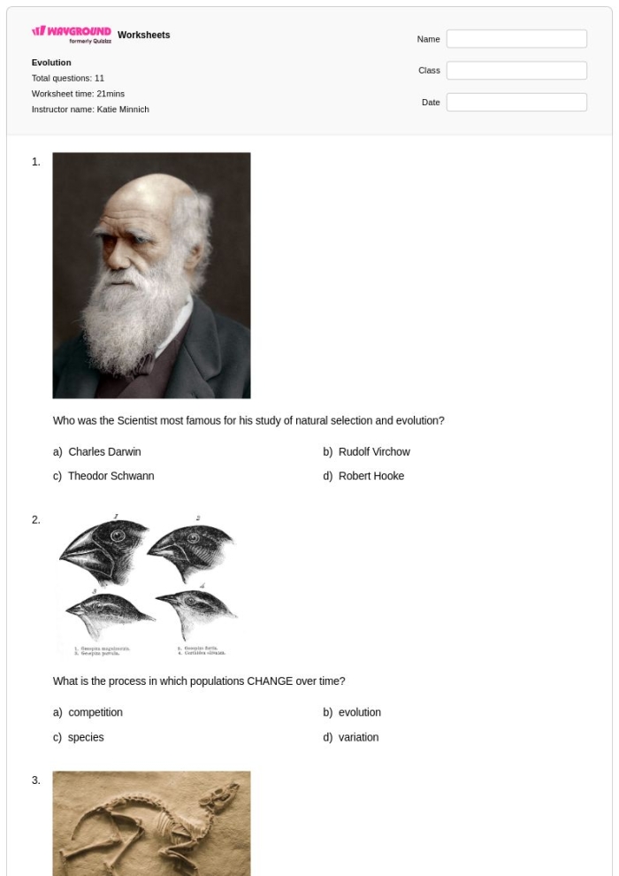 Sixth grade science students analyzing evolutionary patterns with an Analogous and Homologous Structures worksheet