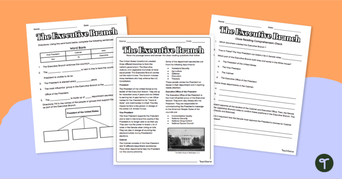 Executive Branch Graphic Organizer Worksheet 15 Sixth grade students completing a graphic organizer to learn about the duties of the executive branch
