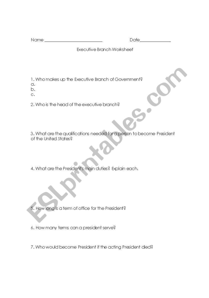 The Executive Branch Worksheet 21 Sixth grade graphic organizer worksheet about the responsibilities and structure of the executive branch