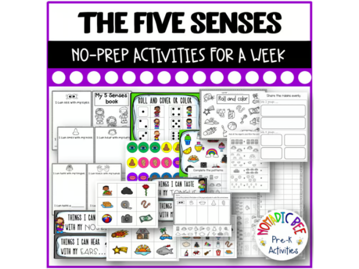 Eye Color Chart worksheet for kindergarteners to explore and learn about eye colors