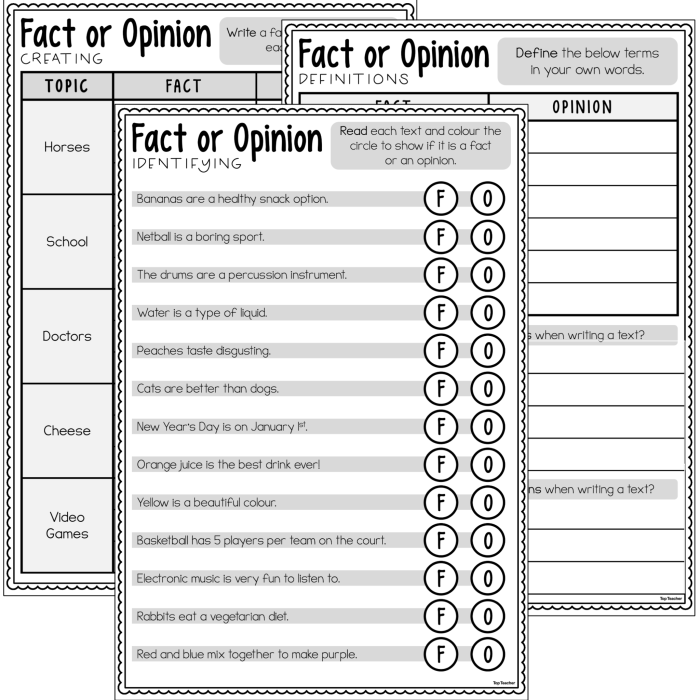 Fact and Opinion Adjectives Practice Sheet for Fifth Grade Writing Fifth grade worksheet focusing on sorting fact and opinion statements using descriptive adjectives