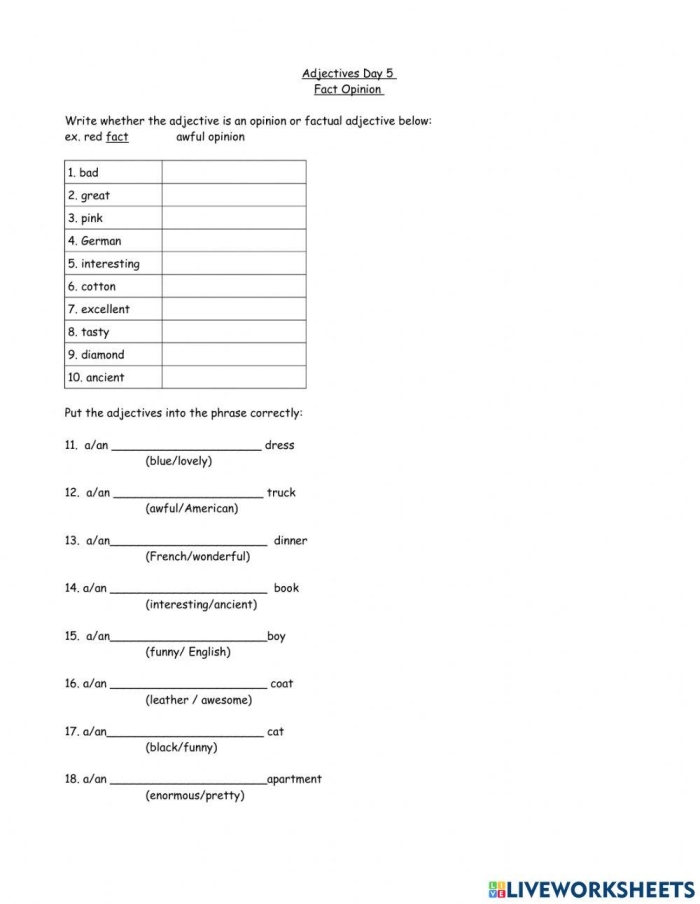 Fact and Opinion Adjectives Worksheet Number 12 Fifth grade student completing a fact and opinion adjective worksheet