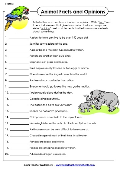 Fact and Opinion Adjectives Worksheet for Grade 5 Activity 19 Fifth grade writing worksheet featuring a word bank to categorize fact and opinion adjectives
