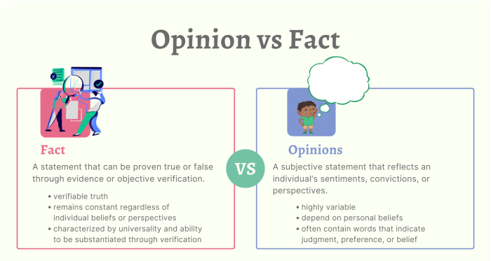 Worksheet designed to teach sixth graders the distinction between facts and opinions in history