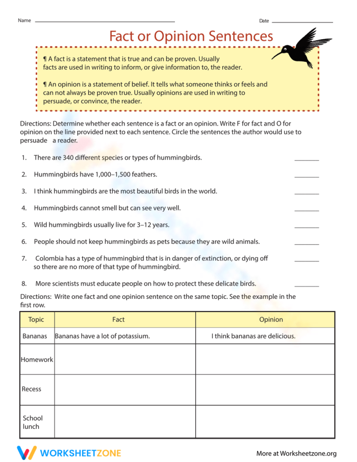 Fourth grade student completing a worksheet on distinguishing fact from opinion sentences
