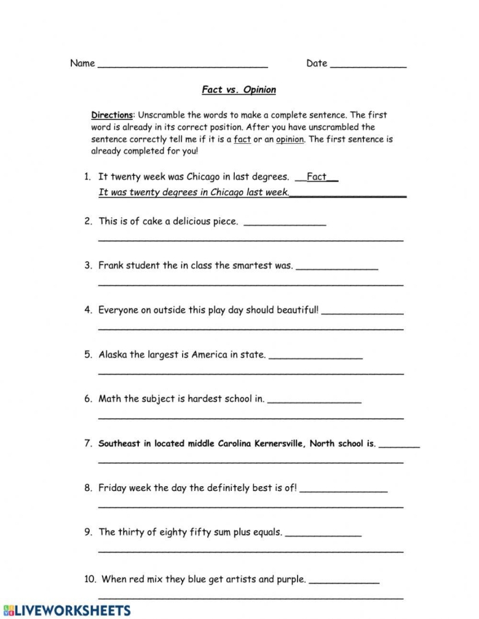 Fact and opinion worksheet designed for third graders to distinguish between facts and opinions. Engaging fact and opinion worksheet for enhancing grammar skills in young learners.